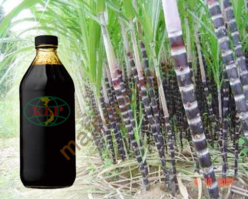 Mật rỉ đường - MS010